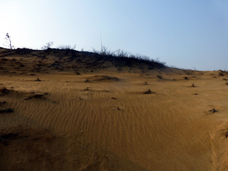 p1170830.jpg