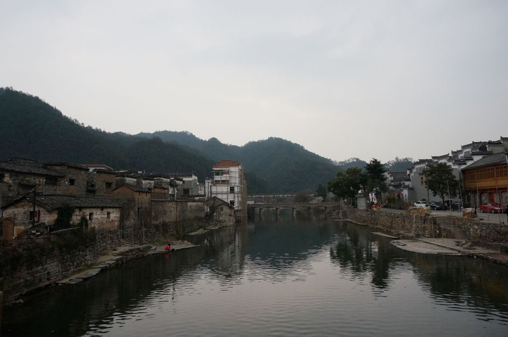 dsc00494.jpg