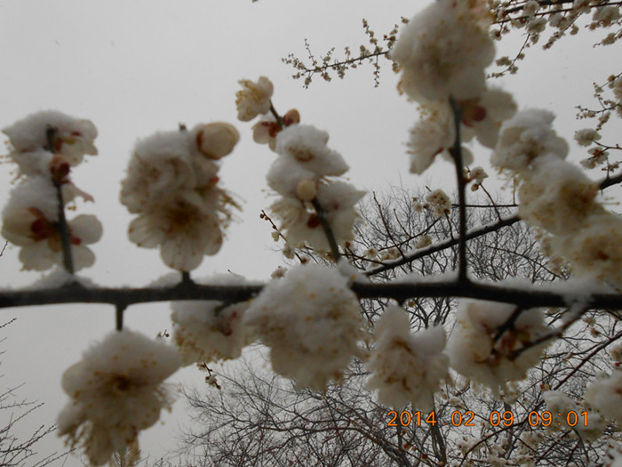 dscn1883.jpg