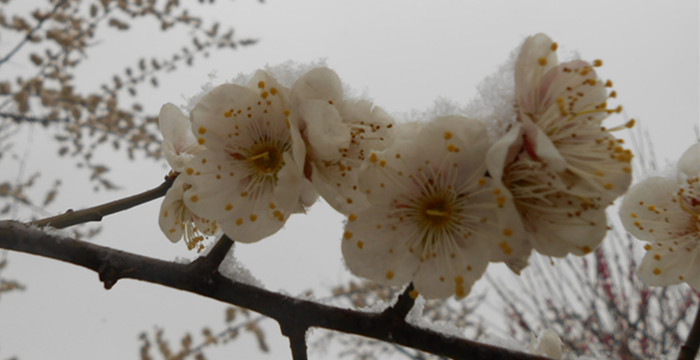 dscn1884.jpg