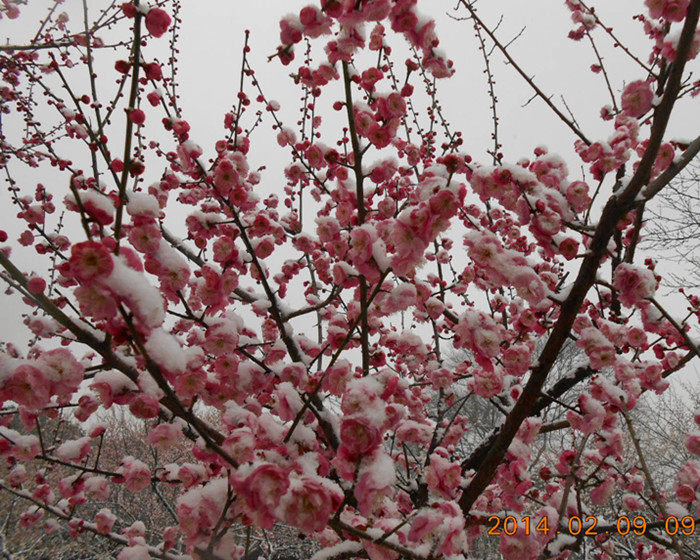 dscn1897.jpg