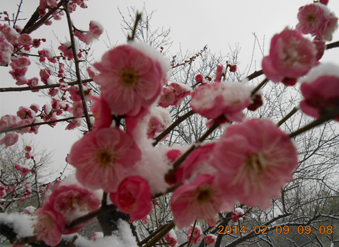 dscn1898.jpg