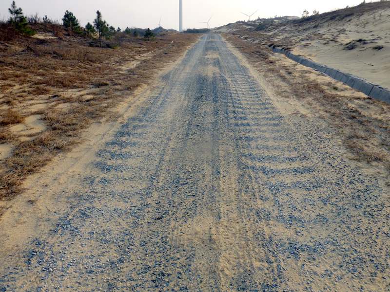 p1170863.jpg