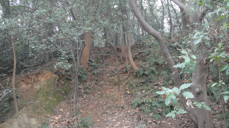 dsc09757.jpg