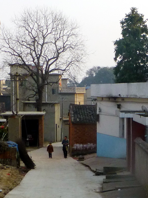 p1170872.jpg