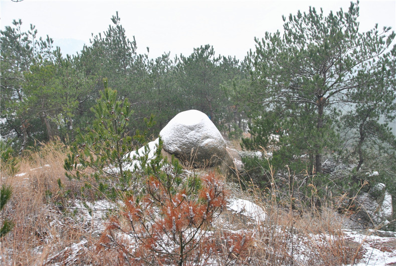 dsc_0161_.jpg