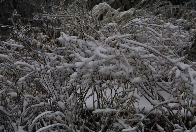 dsc_0312_.jpg