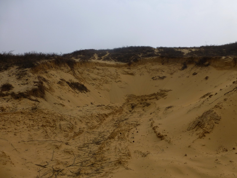 p1170916.jpg