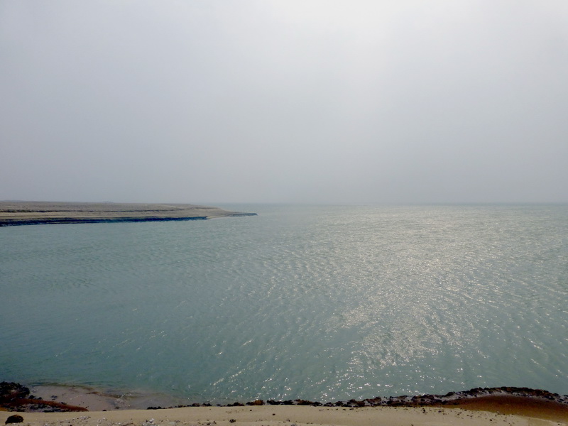p1170947.jpg