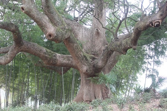 瑶里婺源7.jpg