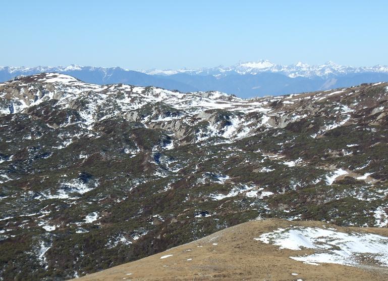 dscf0493.jpg