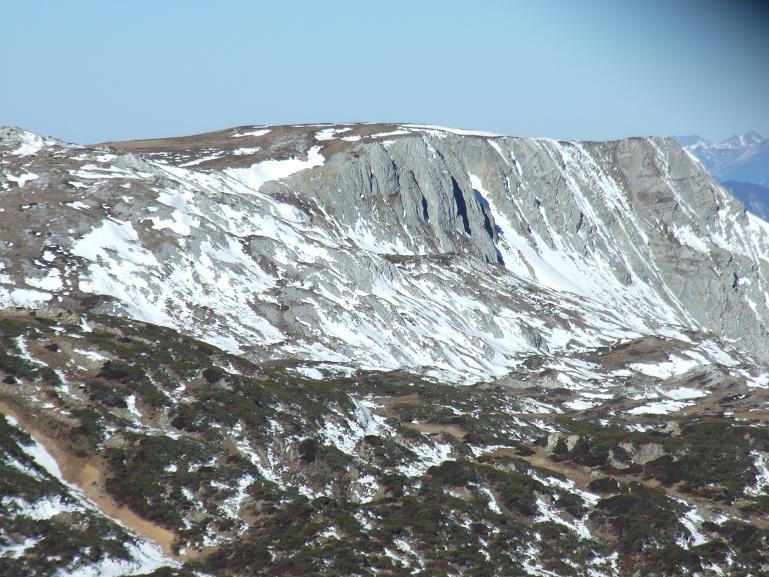dscf0487.jpg