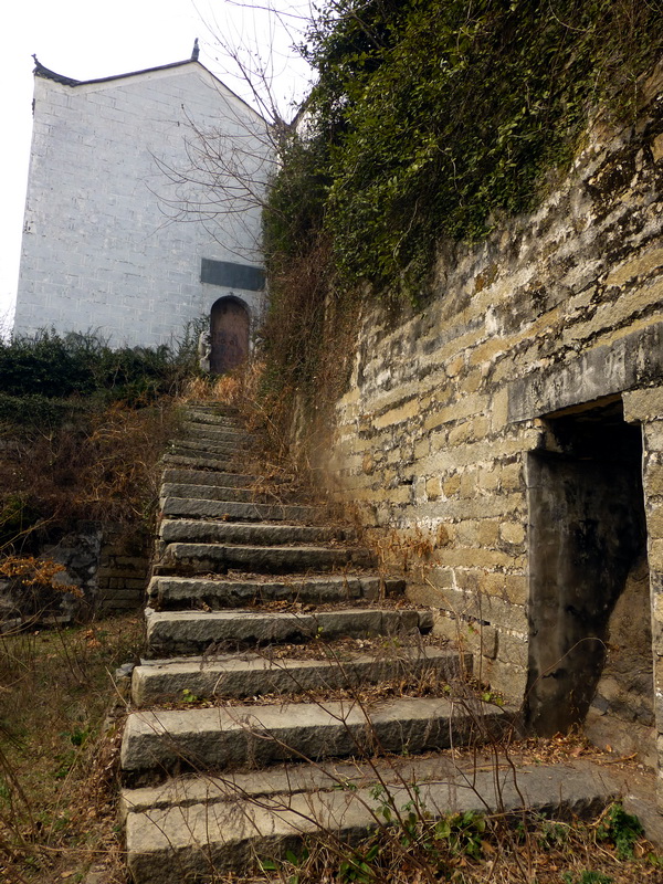p1170994.jpg