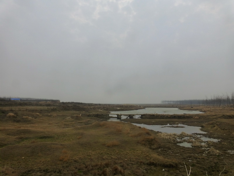 p1180021.jpg