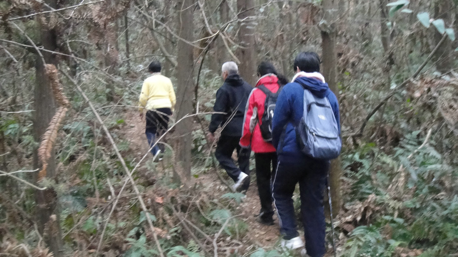 dsc00012.jpg