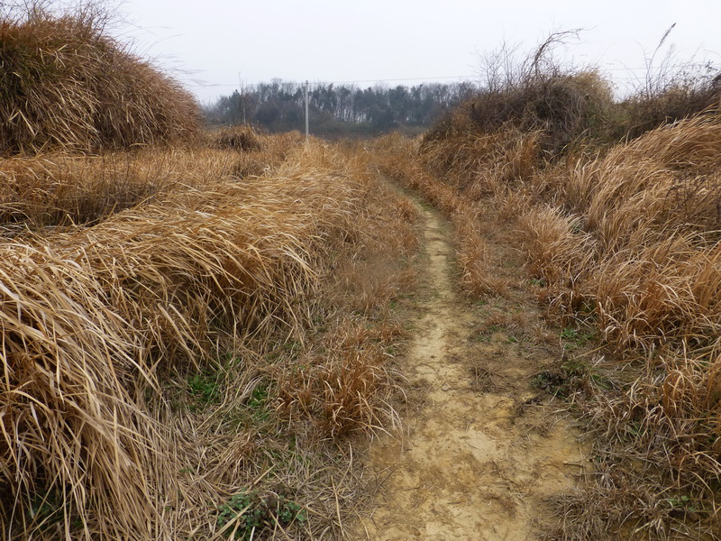 p1180031.jpg