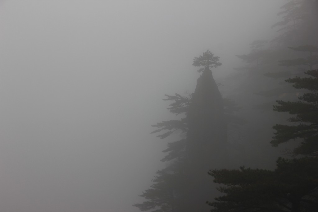 ջɽ--.jpg