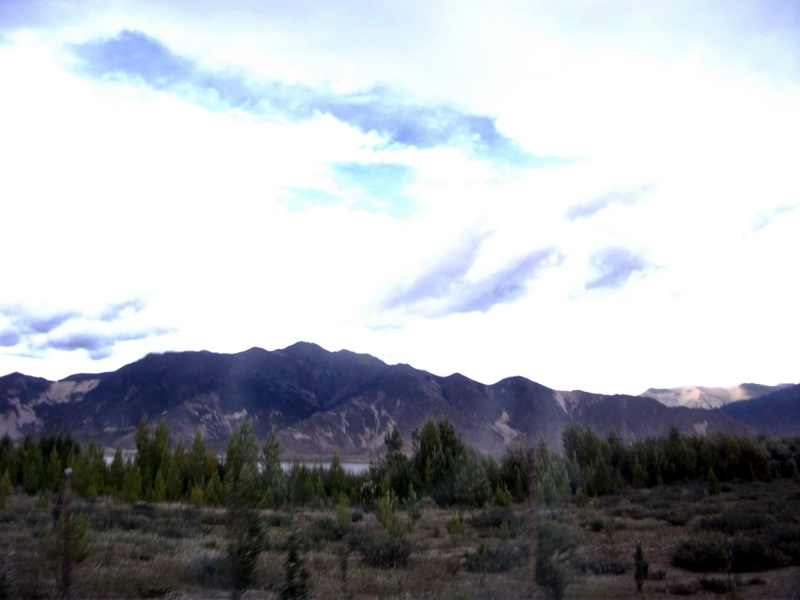 dscf0800.jpg