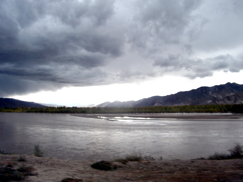 dscf0803.jpg