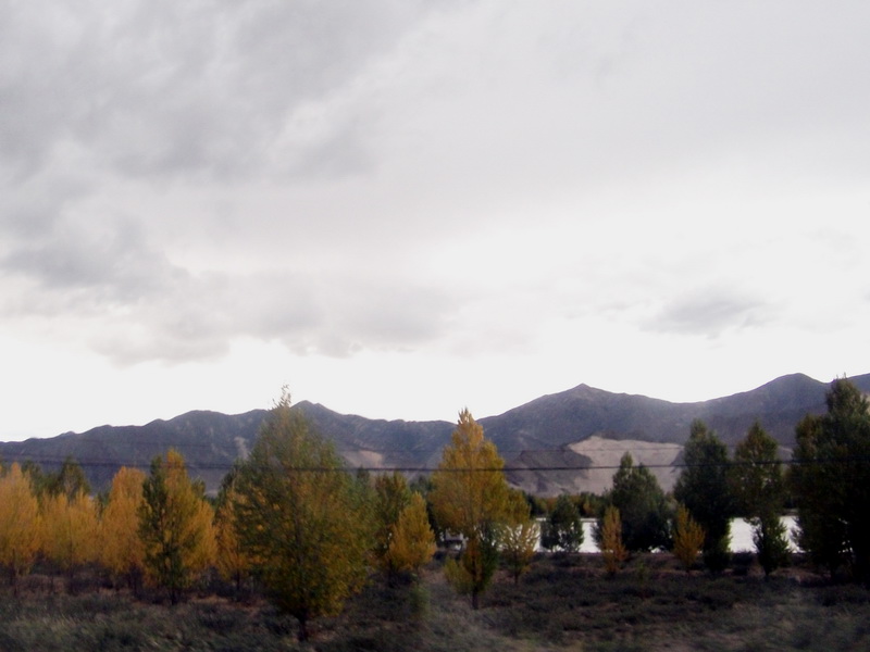 dscf0805.jpg