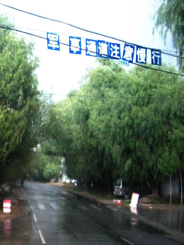 dscf0807.jpg
