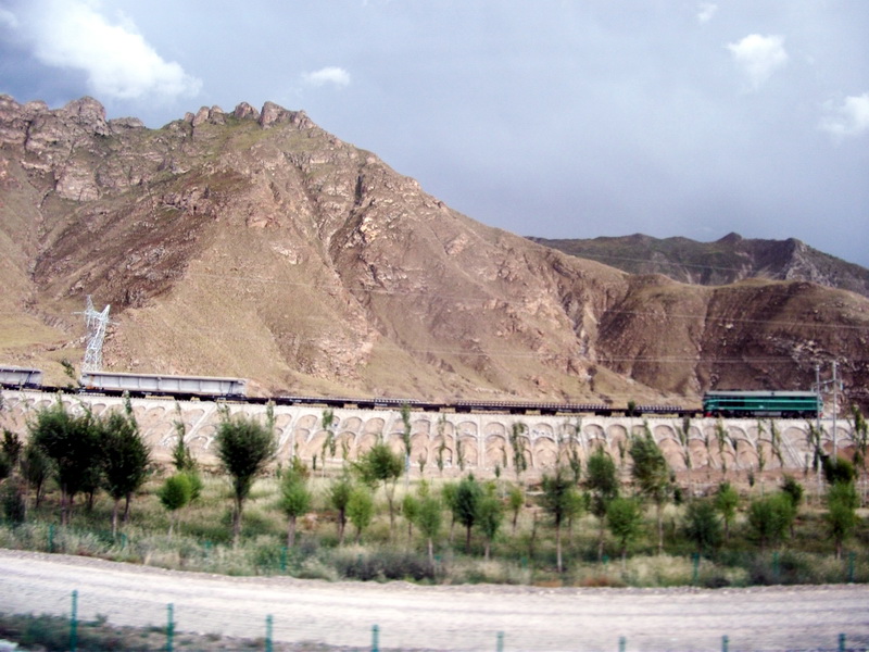 dscf0808.jpg