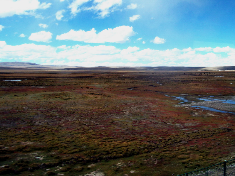 dscf0856.jpg