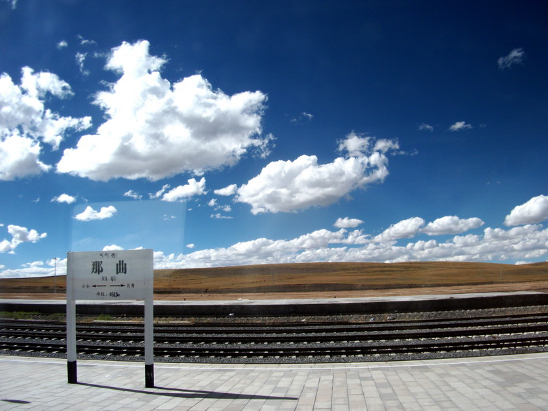 dscf0865.jpg
