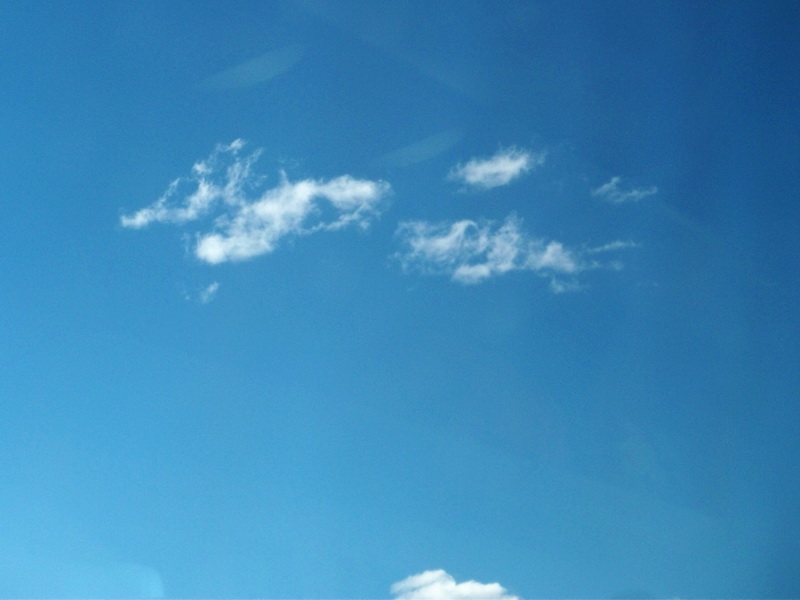 dscf0871.jpg