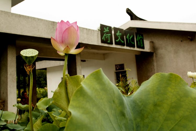 _mg_4391.jpg