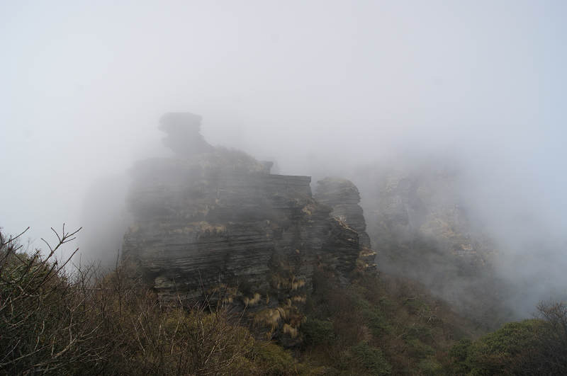 dsc07455.jpg