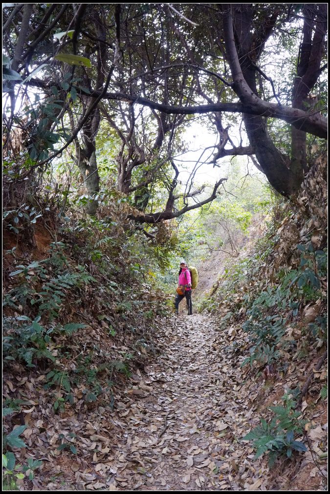 岳飞古道行3.jpg