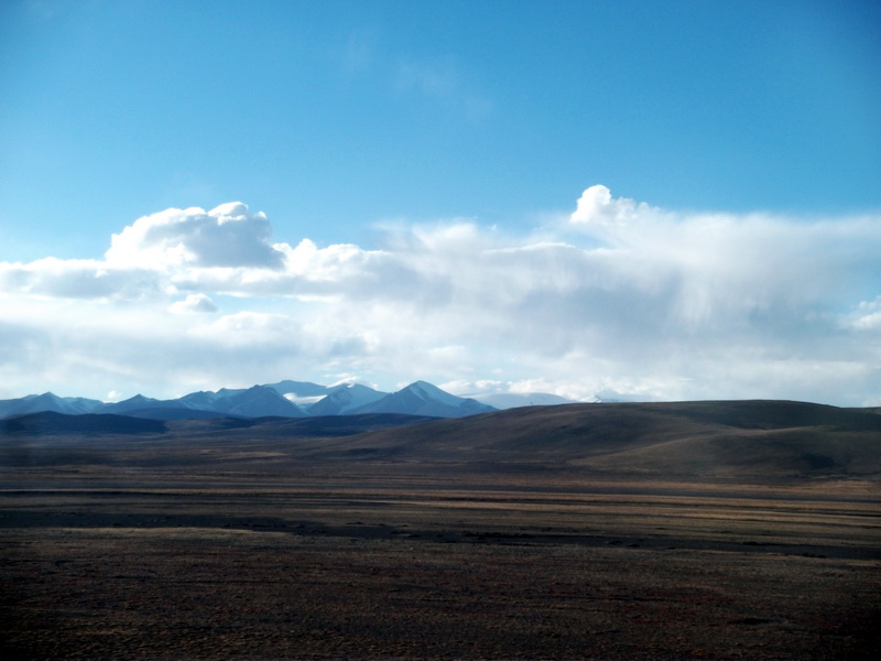 dscf0879.jpg