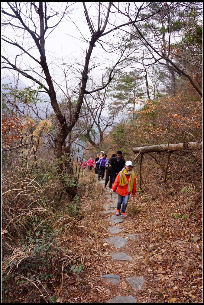 岳飞古道行12.jpg