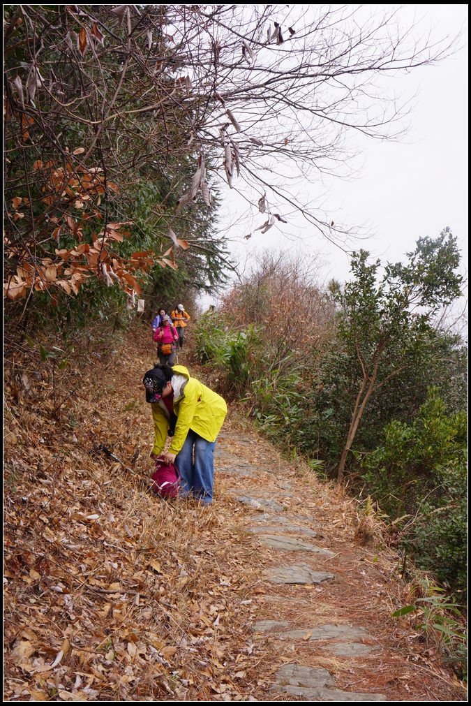 岳飞古道行13.jpg
