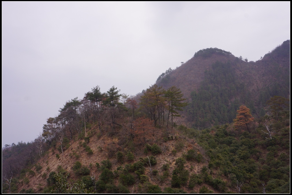 岳飞古道行14.jpg