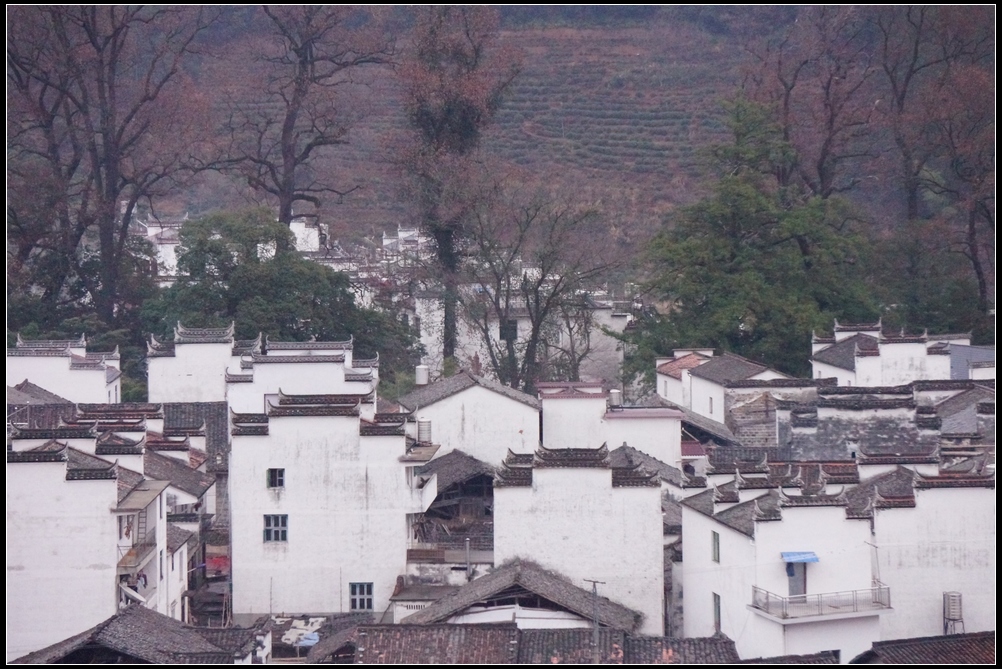 早安石城5.jpg