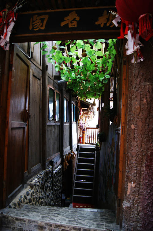 dsc07902.jpg