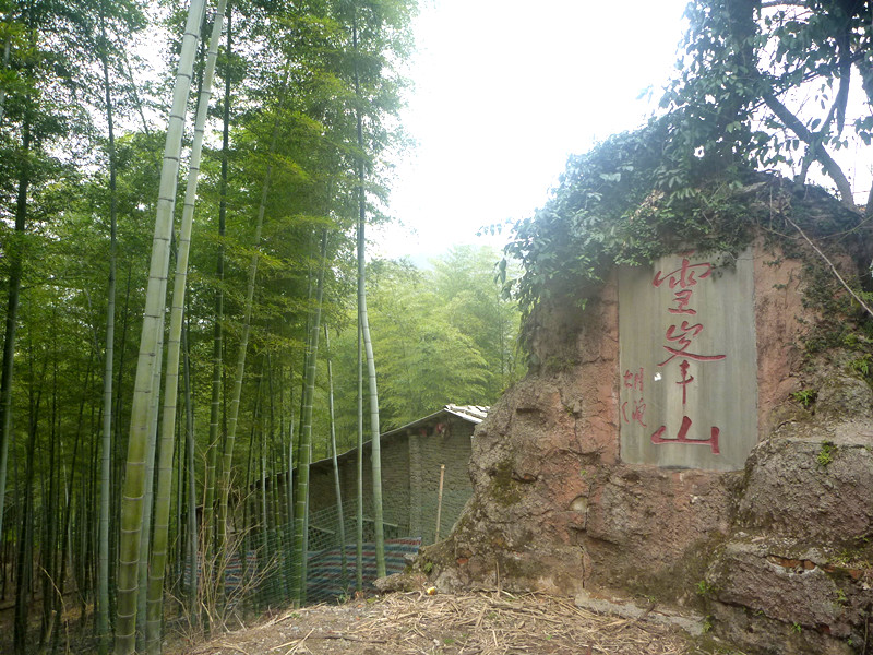p1170954_.jpg