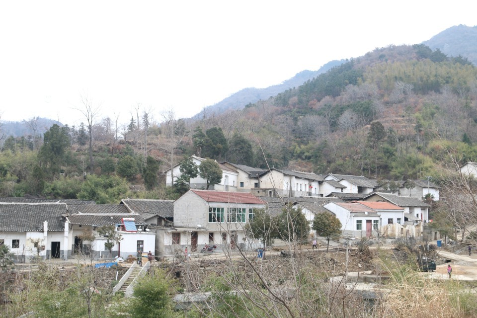 800.jpg