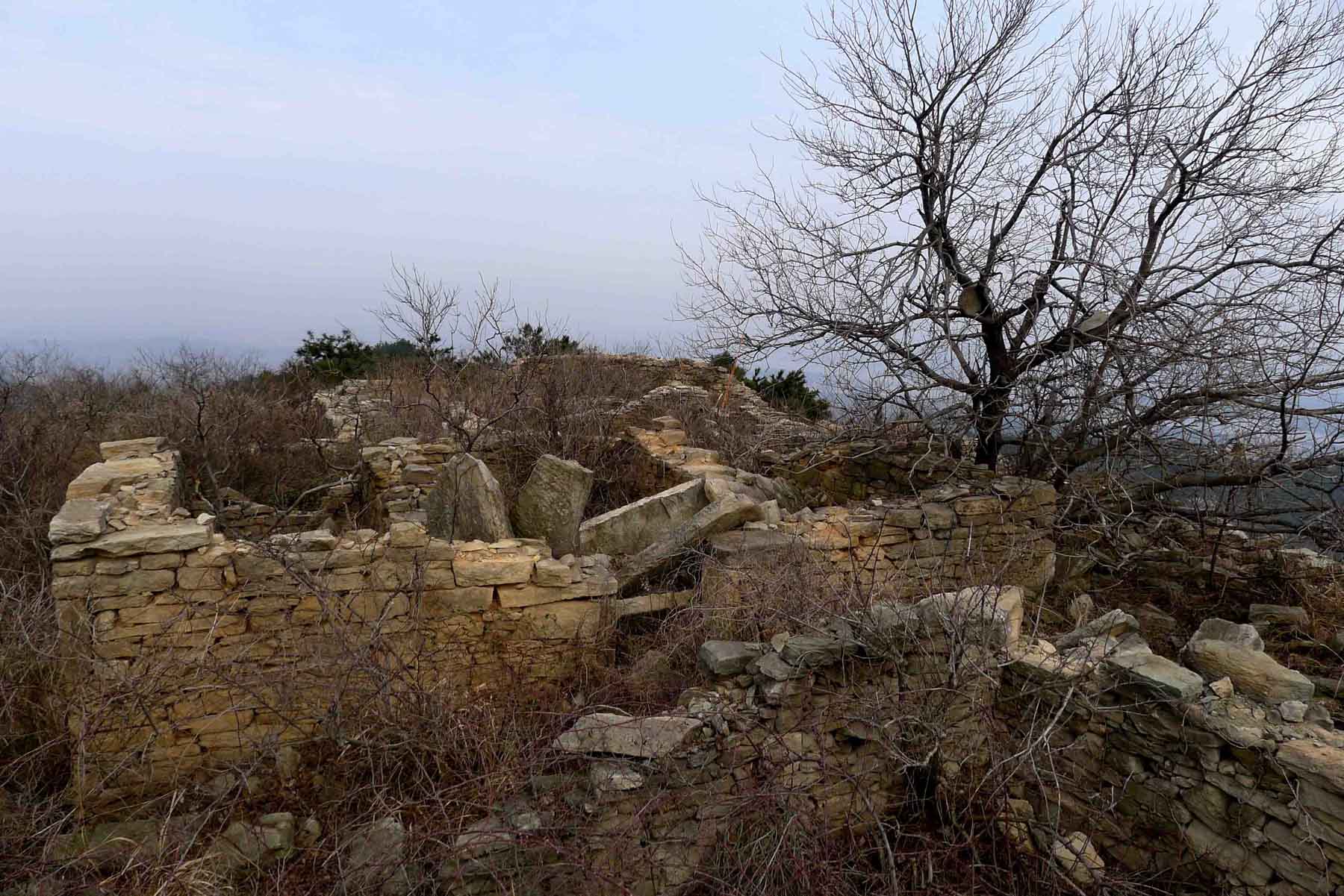 p101067631.jpg