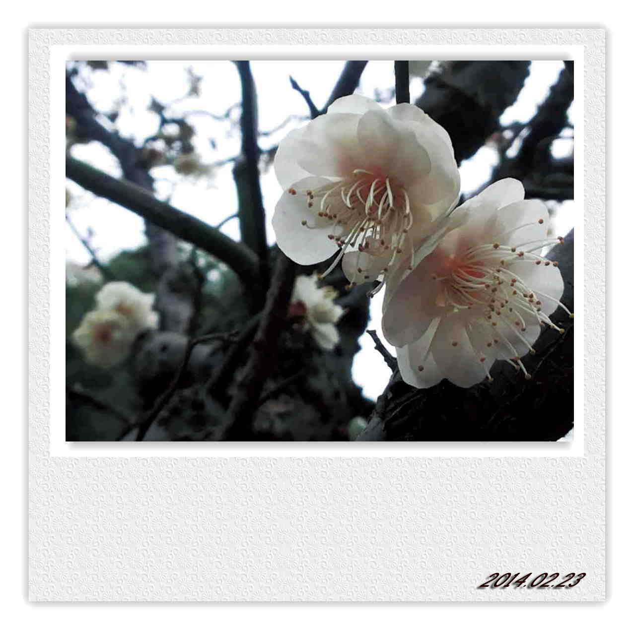 20140223_171453.jpg