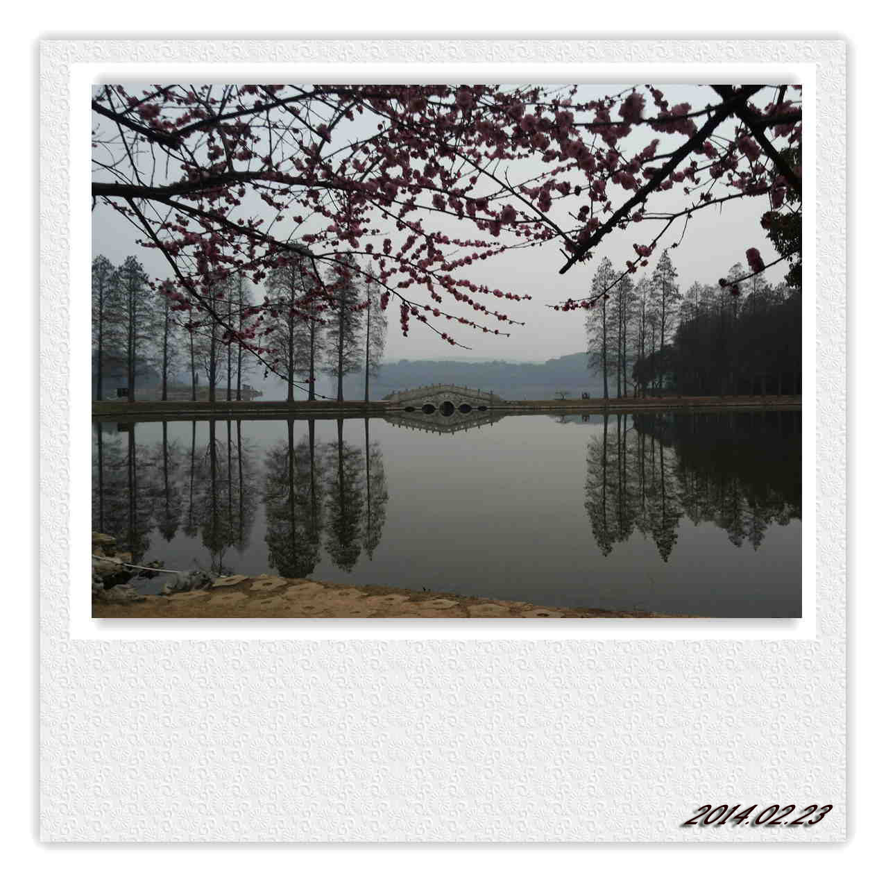 20140223_181002.jpg