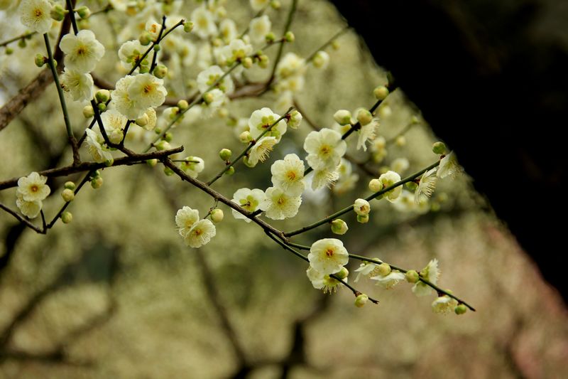 img_1015.jpg