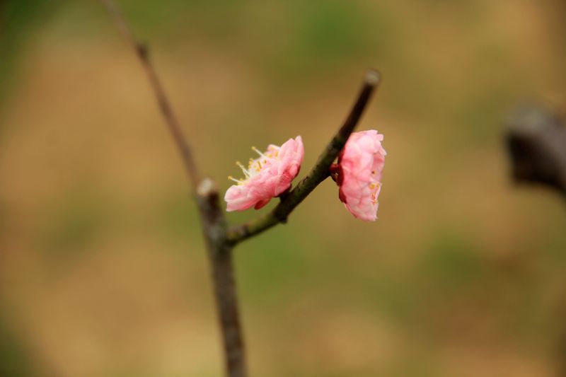 img_1125.jpg
