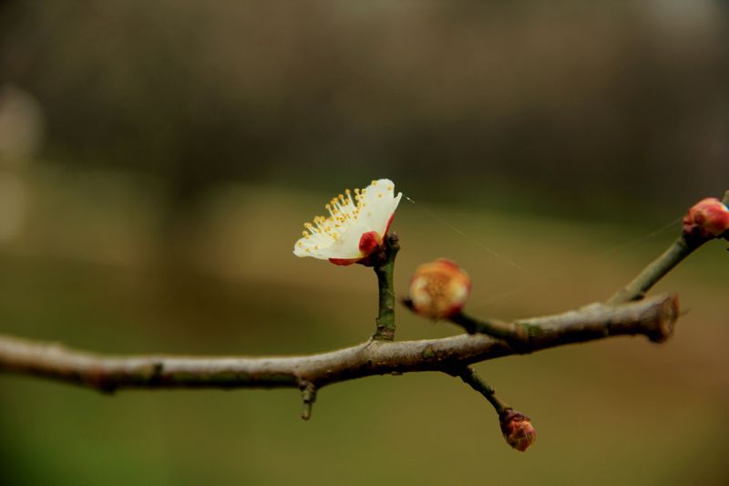 img_1127.jpg