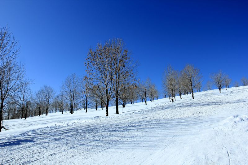 img_9405.jpg