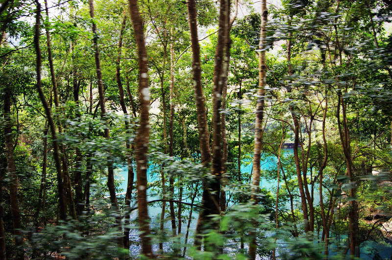 dsc08065.jpg