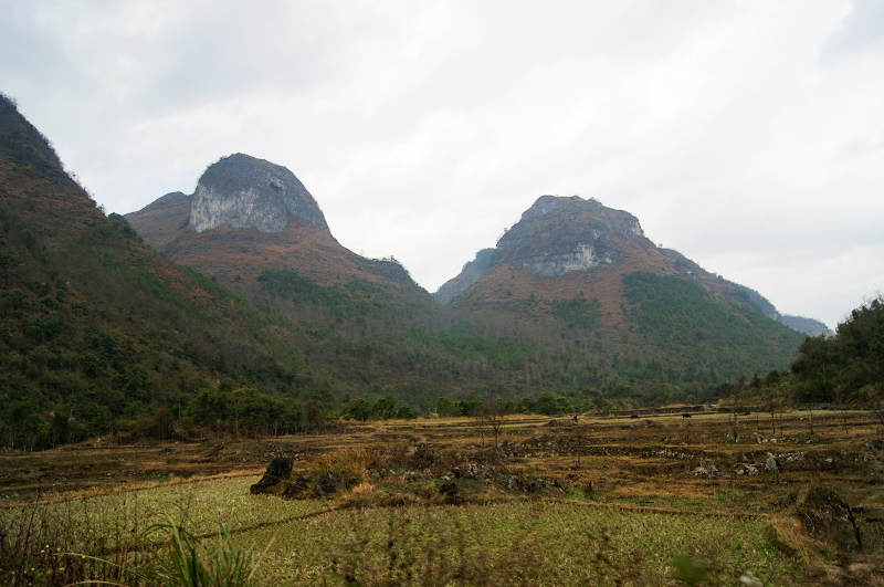 dsc08061.jpg