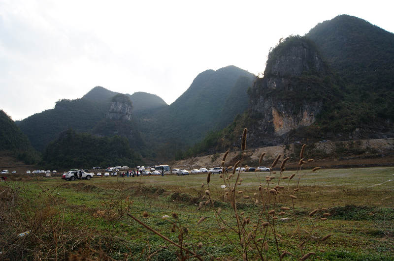 dsc08291.jpg